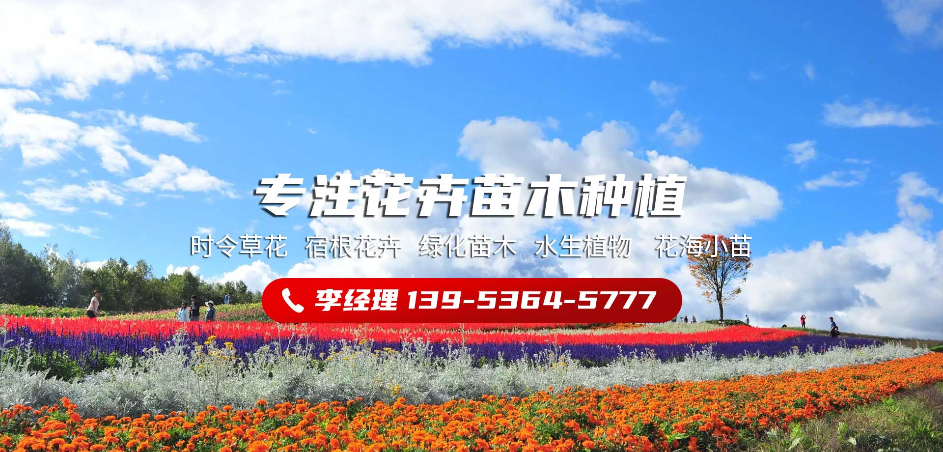 唯美園林綠化工程